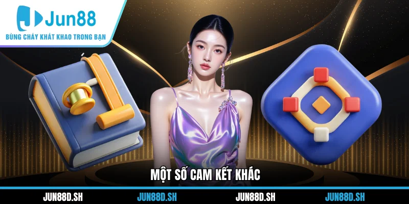 Một số cam kết khác